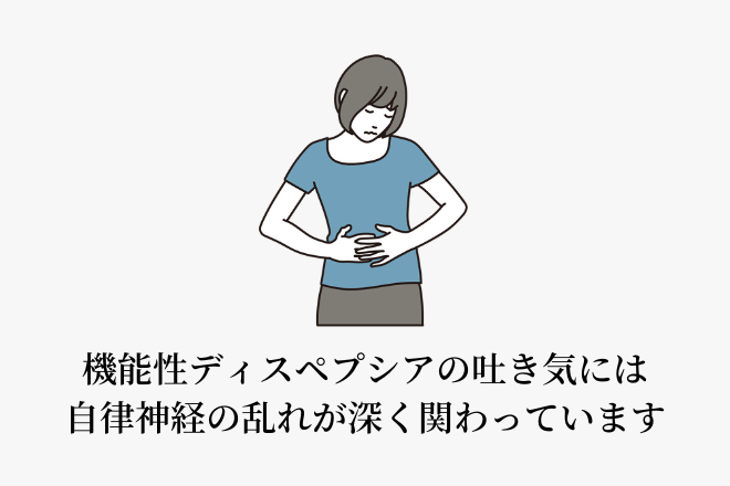 機能性ディスペプシアの吐き気には、自律神経の乱れが深く関わっています