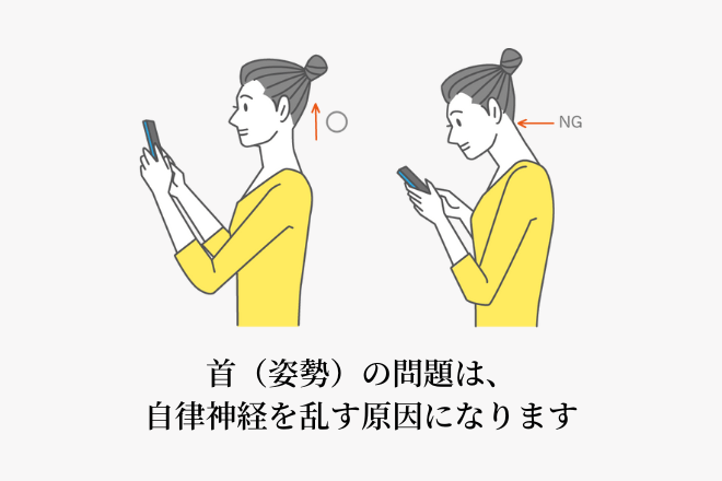 首（姿勢）の問題は、自律神経を乱す原因になります
