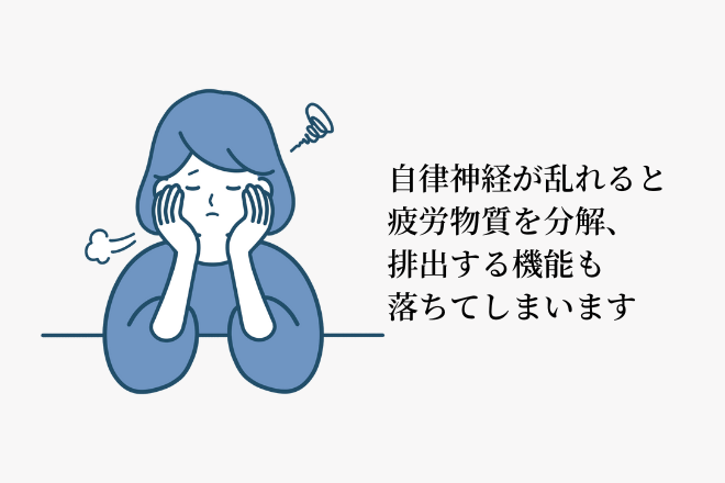 自律神経が乱れると疲労物質を分解、排出する機能も落ちてしまいます