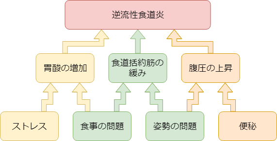 逆流性食道炎を引き起こすメカニズム