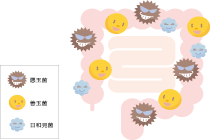 腸のイラスト。腸内細菌の乱れについて