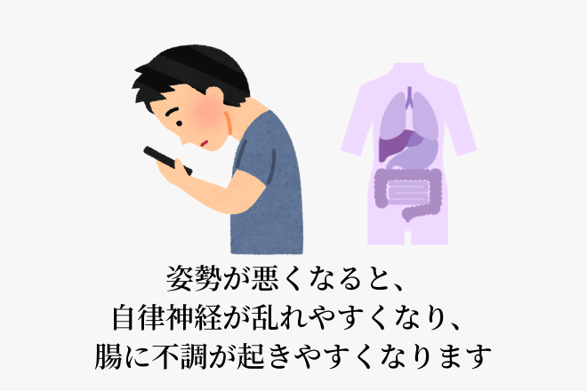 姿勢が悪くなると、自律神経が乱れやすくなり、腸に不調が起きやすくなります