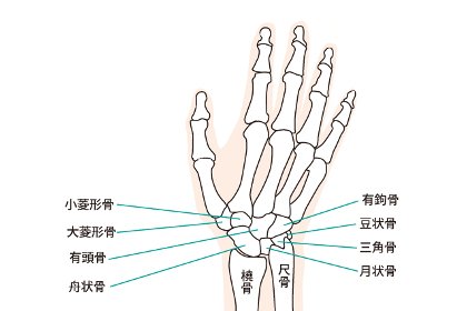 手首のバランスの崩れ