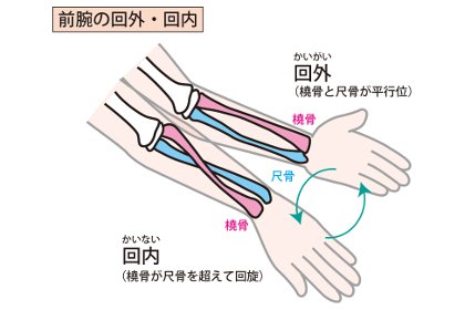 痛みの出る動作の確認
