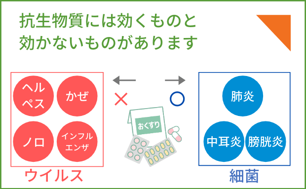 抗生物質の効くものと効かないものの一覧表