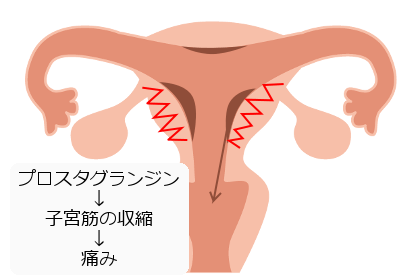 生理