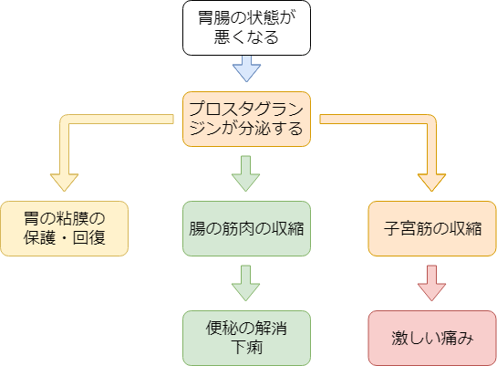 中 下痢 生理