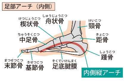 が 足 痛い 甲 の 足の甲の痛み・腫れ・リスフラン関節症