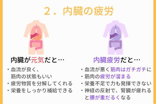 根本原因その２．内臓疲労 内臓が元気な時と疲労したときの比較