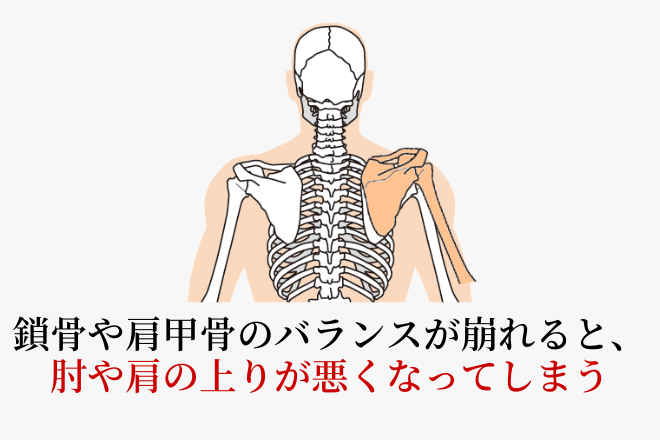 野球肘患者における、肩関節のバランス