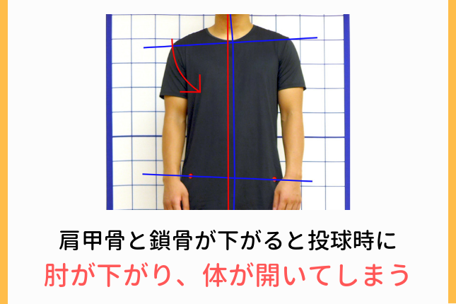 肩甲骨と鎖骨が下がると投球時に肘が下がり、体が開いてしまう