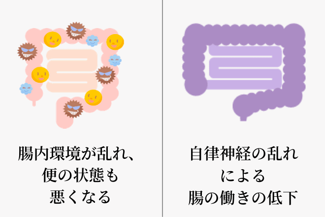 腸内環境と腸の働きの２つの問題
