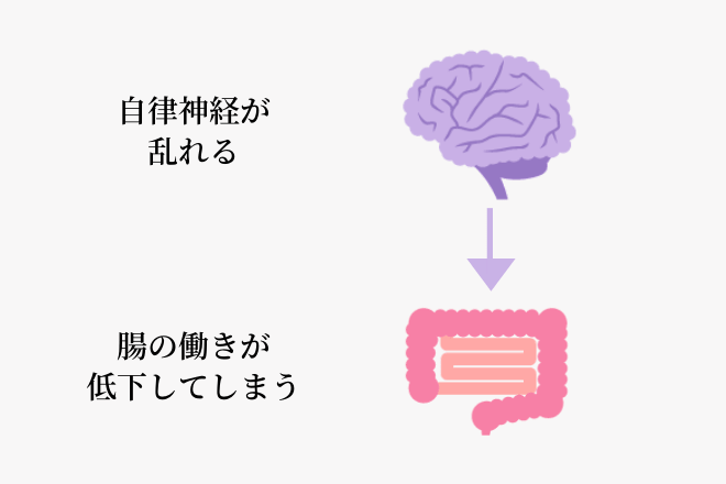 自律神経が乱れると腸の働きが落ちます