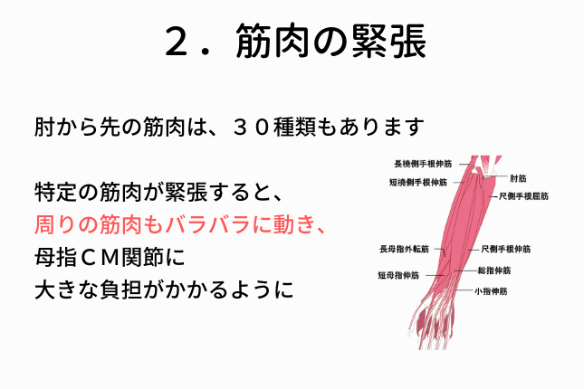 原因２．特定の筋肉の緊張