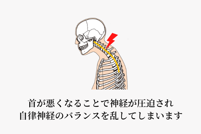 首が悪くなることで神経が圧迫され自律神経のバランスを乱してしまいます