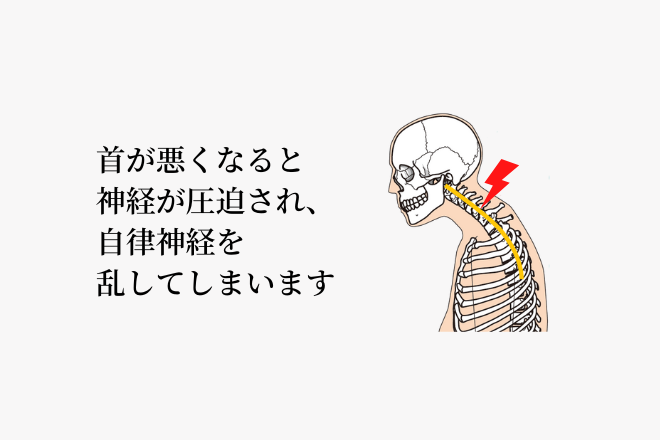 首が悪くなることで神経が圧迫され自律神経のバランスを乱してしまいます