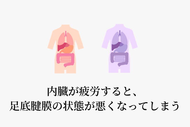 内臓疲労による足底腱膜の状態の悪化