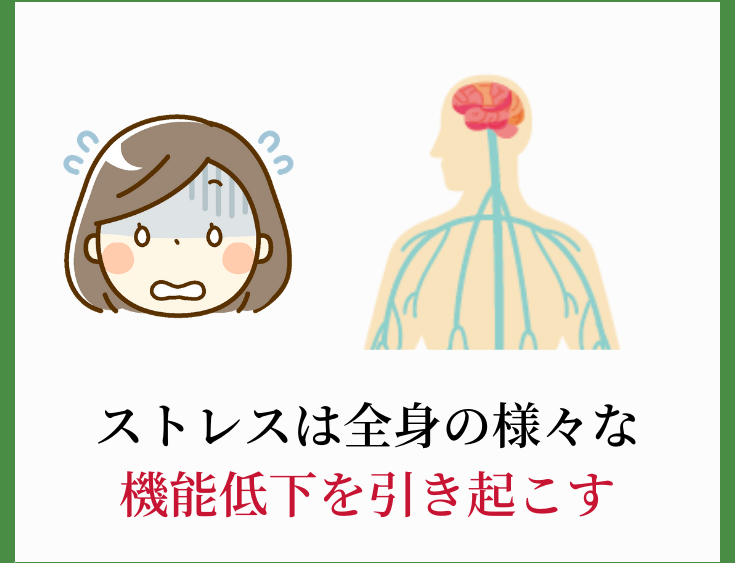 正常な生理周期について