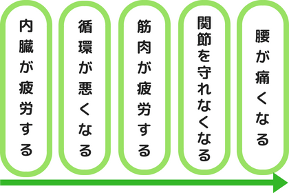 内臓疲労から、筋肉が疲労し、腰が痛くなる原因