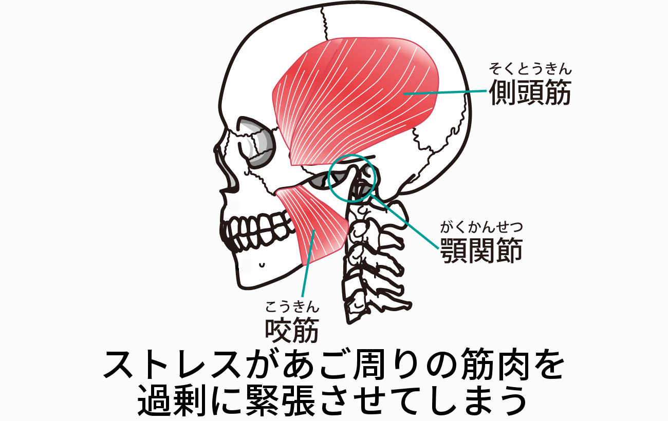 3.ストレスによる影響