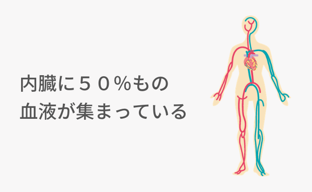 ２．内臓の状態が悪くなることで、循環が悪化する