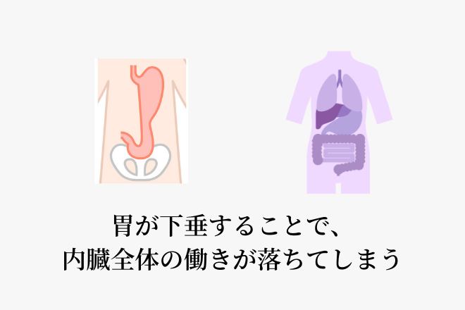 胃が下垂することで、内臓全体の働きが落ちてしまう