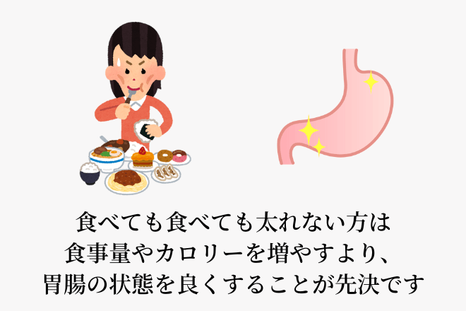食べても食べても太れない方は食事量やカロリーを増やすより、胃腸の状態を良くすることが先決です