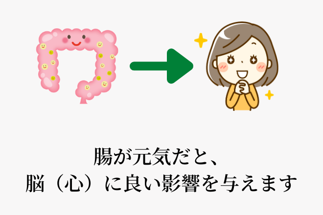 腸が元気だと、脳（心）に良い影響を与えます