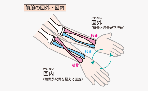 痛みの出る動作の確認