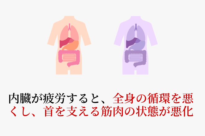 内臓が疲労すると、全身の循環を悪くし、首を支える筋肉の状態が悪化