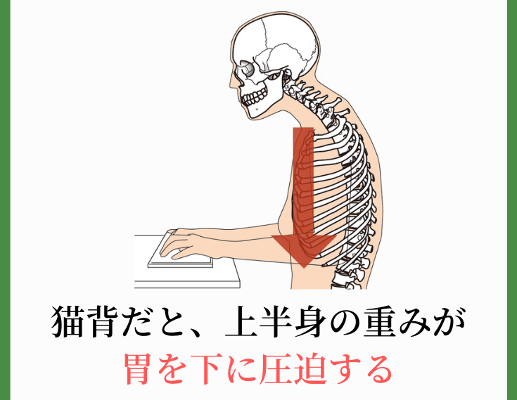 胃下垂を引き起こす５つの根本的な原因