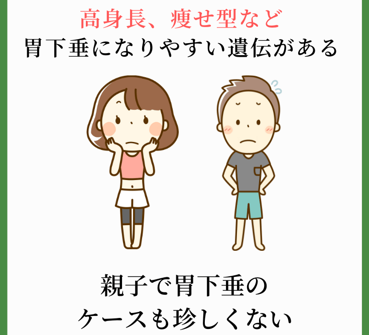 原因その５．遺伝的な体型によるもの