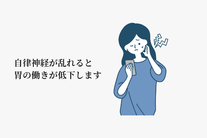 原因その２．自律神経の乱れによって、胃を支えている筋肉の働きが落ちるから