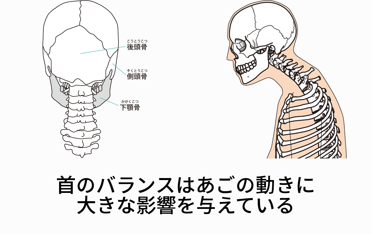 ２．首の関節のバランスの崩れ